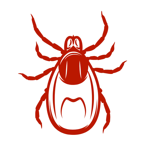 tick