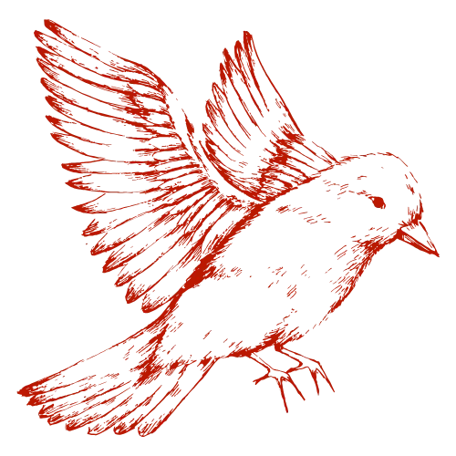 bird